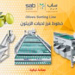 Olive Sorting Machines